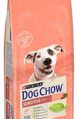 DOG CHOW ADULT SALMON