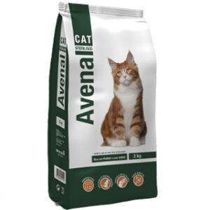 Avenal Cat Esterlized