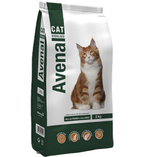 Avenal Cat Esterlized